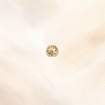 CHARM PANDORA