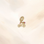 CHARM BICYCLE