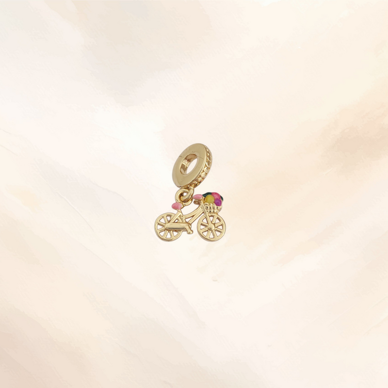 CHARM BICYCLE
